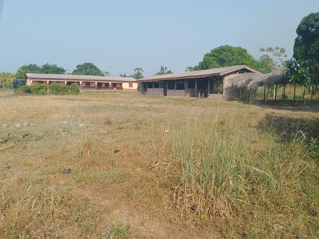 school compound